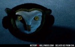 creepy owl toy